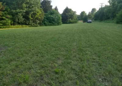 Landscaping Maintenance