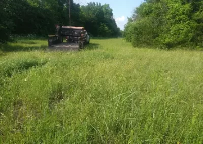 Professional Landscaping